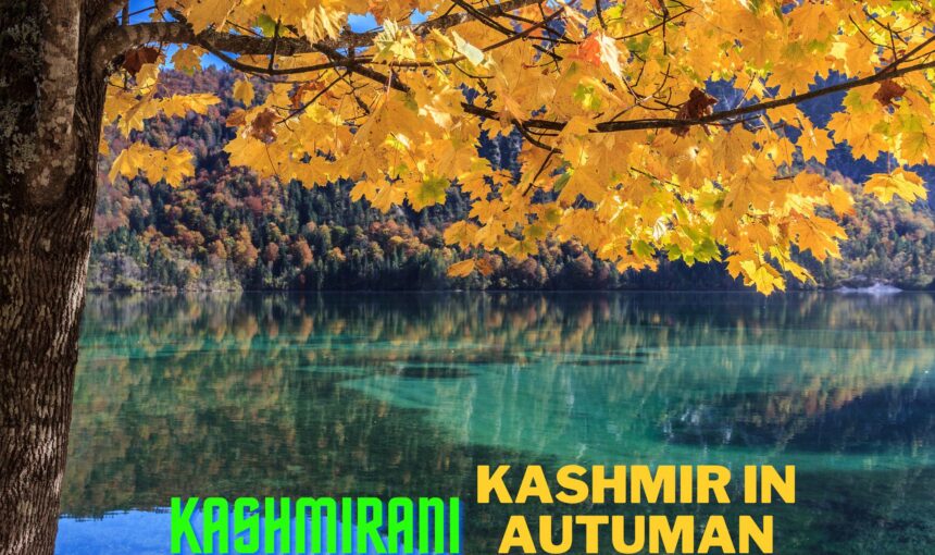 8 best Places to visit in Kashmir this Autumn