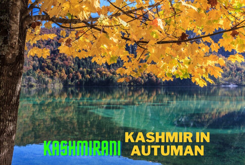 best places to visit Kashmir in Autumn with Kashmirani