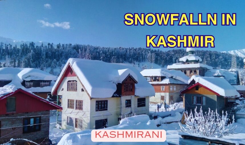 Much awaited snowfall in Kashmir turns the valley in white gold, Weather update in Kashmir