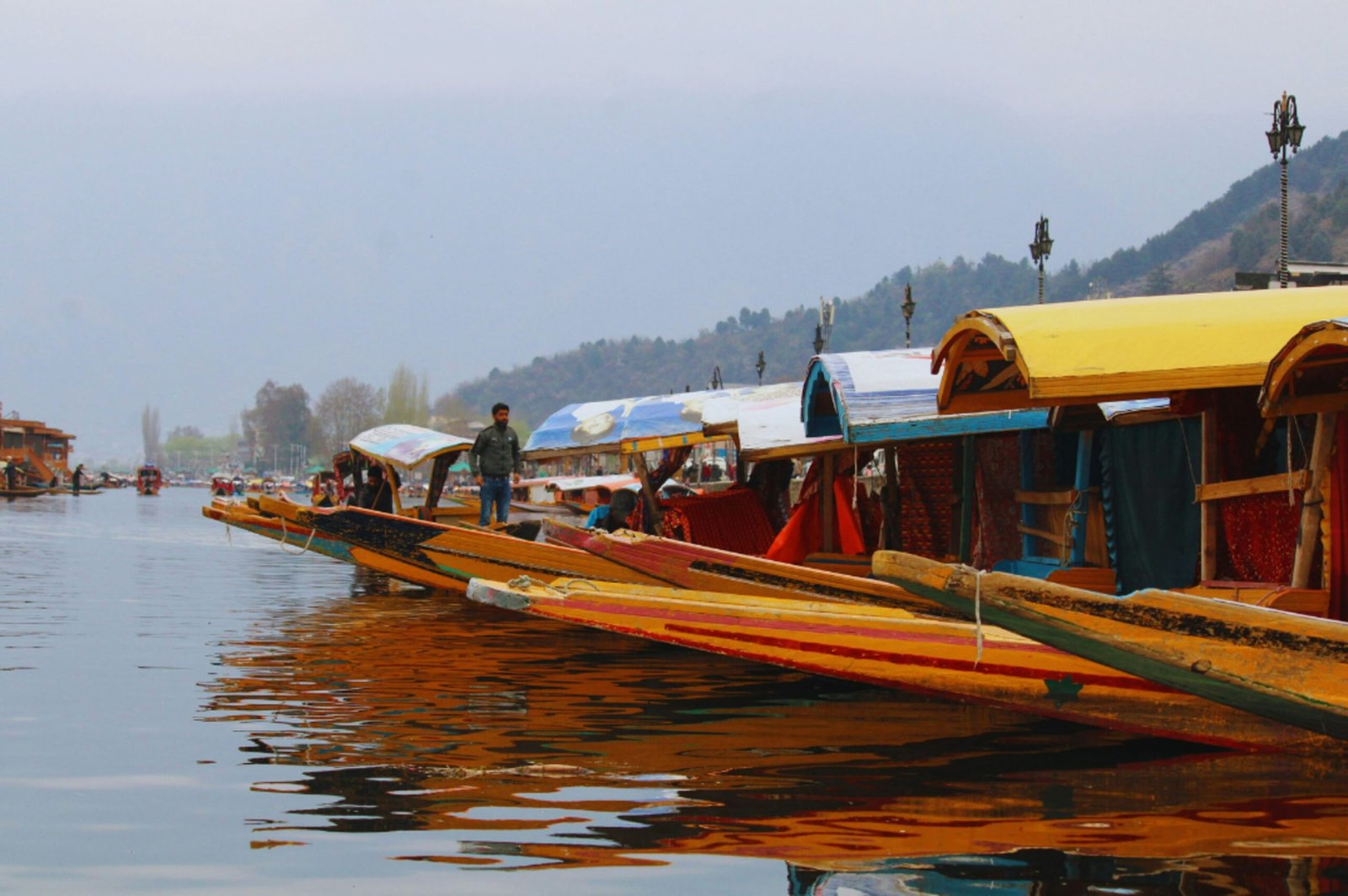 dal lake 4 scaled